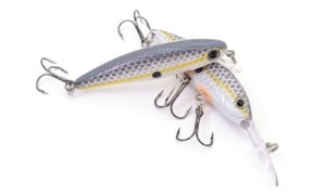 An example of lures shaped like shad are pictured