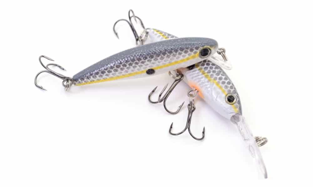 An example of lures shaped like shad are pictured